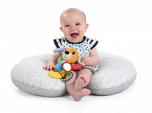 Развивающая игрушка Chicco Щенок 00009226000000