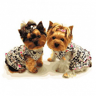 Картина по номерам Picasso Забавные Йорки PC4050367