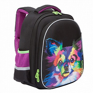 Рюкзак школьный GRIZZLY RAz-086-13 /1 black