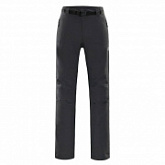 Брюки мужские Alpine Pro Carb 2 MPAL149779 dark grey