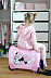 Чемодан Samsonite Dream Rider Disney 50см 43C-90001 Pink