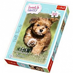 Пазл Trefl Летнее время 16265