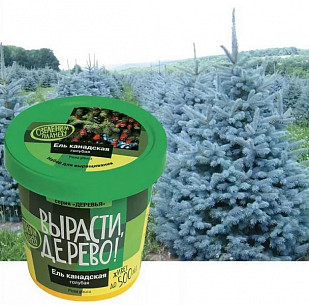 Набор для выращивания растений Вырасти, Дерево! Ель канадская голубая zk-048