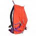 Рюкзак Polar П1609 red