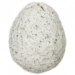 Игрушка-антистресс Bondibon Чудики Яйцо динозавра с динозавром внутри ВВ3985