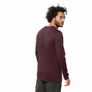 Футболка мужская Jack Wolfskin Essential Longsleeve Men port wine