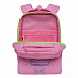 Рюкзак школьный GRIZZLY RG-066-1 /3 pink