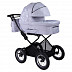 Коляска 2 в 1 BabyHit Evenly (Grey)