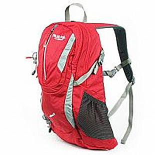 Городской рюкзак Polar П1535 red