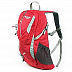 Городской рюкзак Polar П1535 red