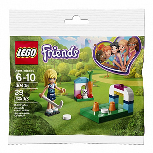 Конструктор LEGO Friends Хоккейная тренировка Софии 30405