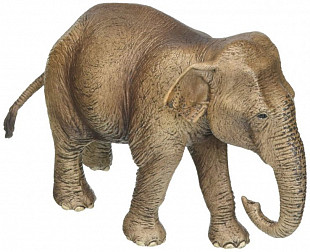 Фигурка животного Schleich Азиатский слон самка 14753