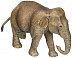 Фигурка животного Schleich Азиатский слон самка 14753