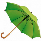 Зонт 4513129 Light Green