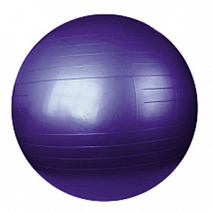 Мяч гимнастический для фитнеса (фитбол) Sundays Fitness IR97402 65 см purple