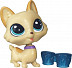 Кукла Littlest Pet Shop Корги Регальтон с мисочкой (B4788 A8228)