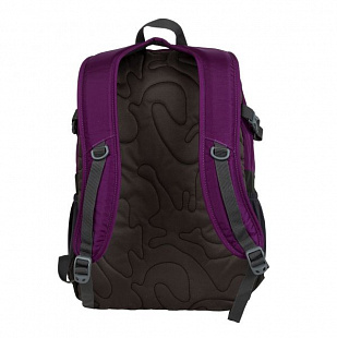 Городской рюкзак Polar П2319 blue