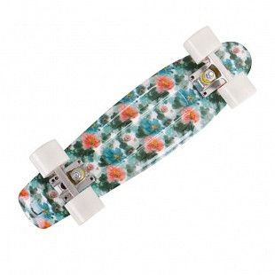 Penny board (пенни борд) RGX PNB-04 22" Multicolor