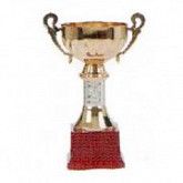 Кубок А1 23 см