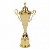 Кубок 2019С 51 см