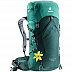 Рюкзак Deuter Speed Lite 24 SL 3410518-2235 forest/alpinegreen (2020)