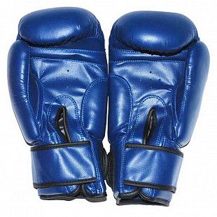Перчатки боксерские Zez Sport ZTQ-116-12 12oz Blue