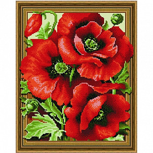 Алмазная живопись 5D Picasso Красные маки 5PD4050011
