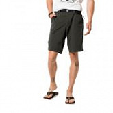 Шорты мужские Jack Wolfskin Hoggar Shorts dark moss