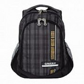 Рюкзак школьный GRIZZLY RU-925-2 /2 brown square