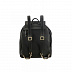 Рюкзак Samsonite Satiny CA1-09005 Black