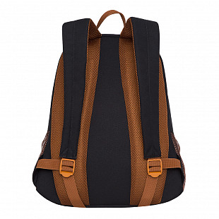 Рюкзак школьный GRIZZLY RD-041-3 /5 black