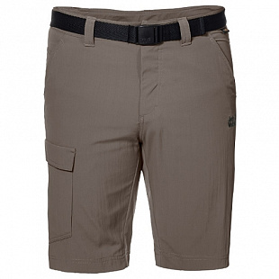 Шорты мужские Jack Wolfskin Hoggar Shorts 1503781 brown