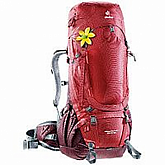 Рюкзак Deuter Aircontact Pro 55+15SL cranberry-aubergine