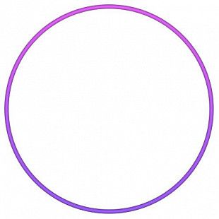 Обруч пластиковый Absolute Champion d750мм purple