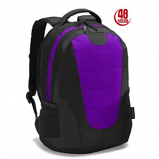 Рюкзак Colorissimo LPN420PR Purple