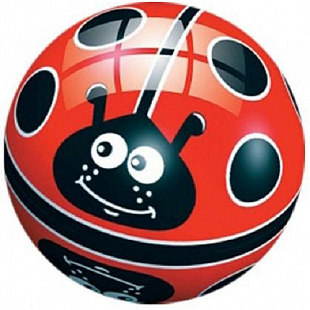 Мяч Dema-Stil Божья коровка на поле 14 см DS-PP 009/14