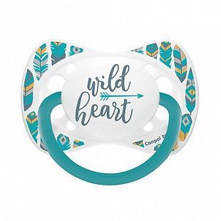 Пустышка Canpol babies Wild Nature Силиконовая Симметричная 18+ мес., 2 шт. (23/956) grey