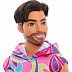 Кукла Barbie Fashionistas (DWK44 HRH26)