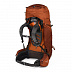 Рюкзак Osprey Aether AG 60 L Adriondack Green
