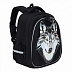 Рюкзак школьный GRIZZLY RAz-087-3 /1 black