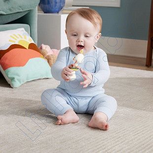 Прорезыватель Fisher Price Гусь (HRB19 HRB21)