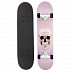 Скейтборд Ridex Notorious 31"